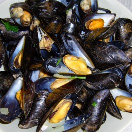 Moules marinières